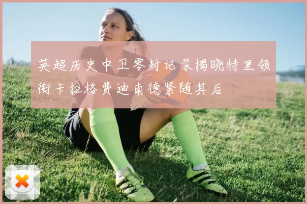 英超历史中卫零封记录揭晓特里领衔卡拉格费迪南德紧随其后