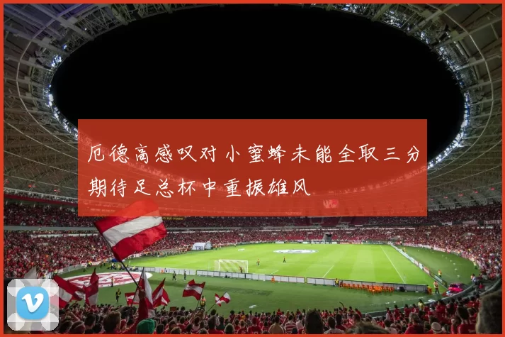 厄德高感叹对小蜜蜂未能全取三分期待足总杯中重振雄风