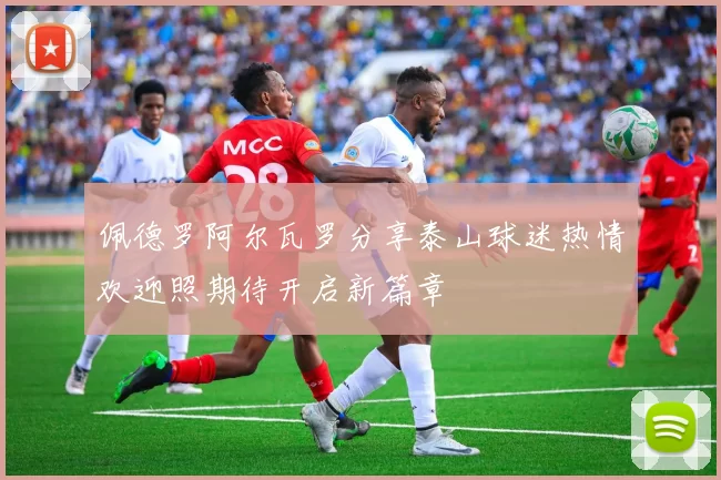 佩德罗阿尔瓦罗分享泰山球迷热情欢迎照期待开启新篇章